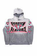 Foreign Flavorzz 2026 Grey Premium Sun Faded Hoodie