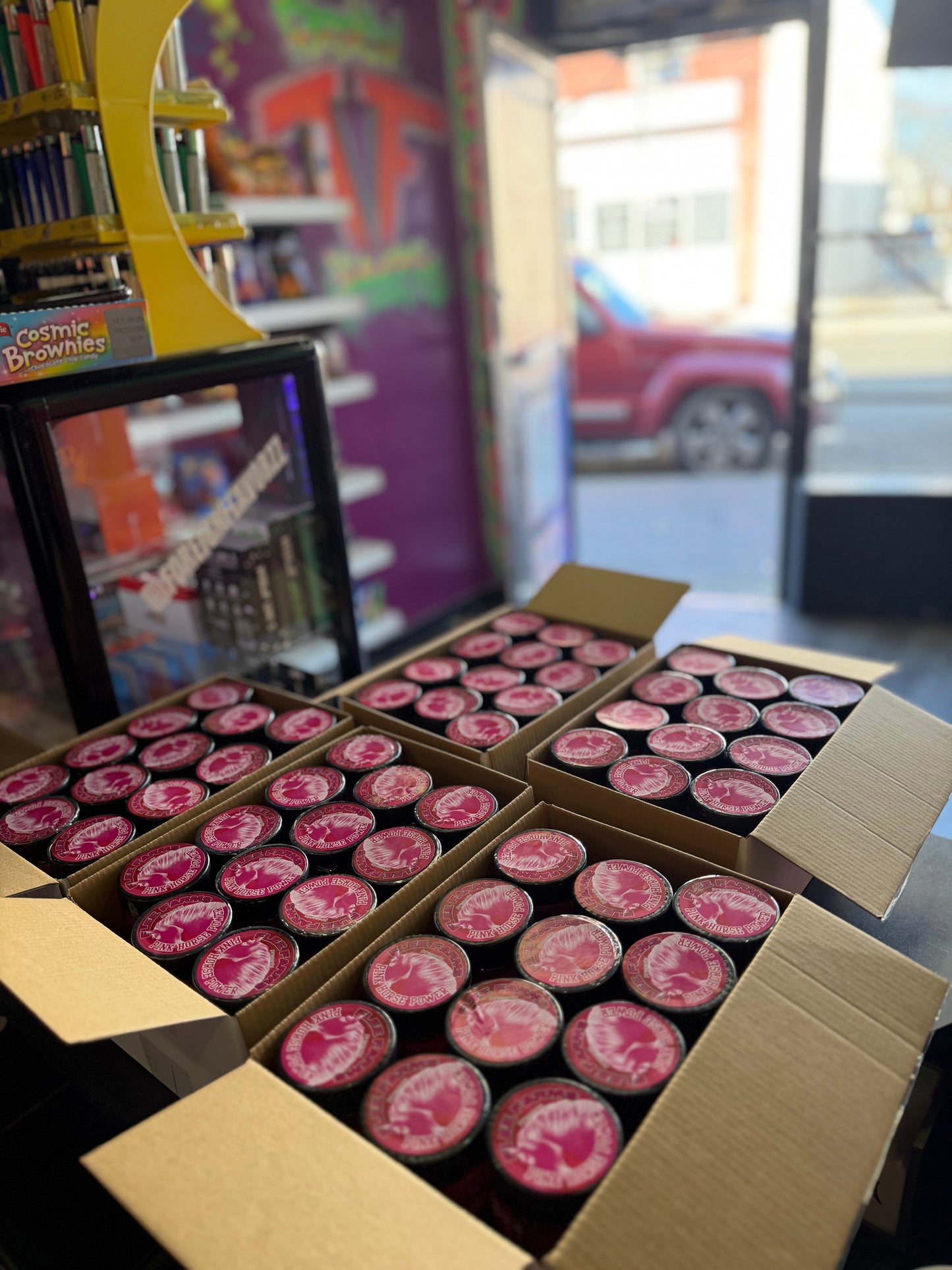 Pink & Blue Horse Power Bundle